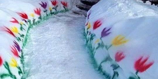 flowers painted on snow